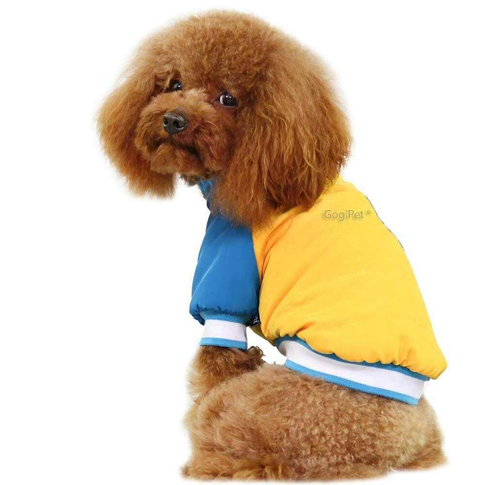 Športna jakna za psa "Lucky Star" - rumena barva