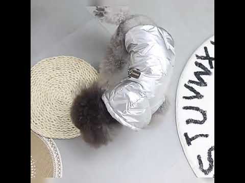 Zimski anorak za pse "Moonwalk" - srebrna barva