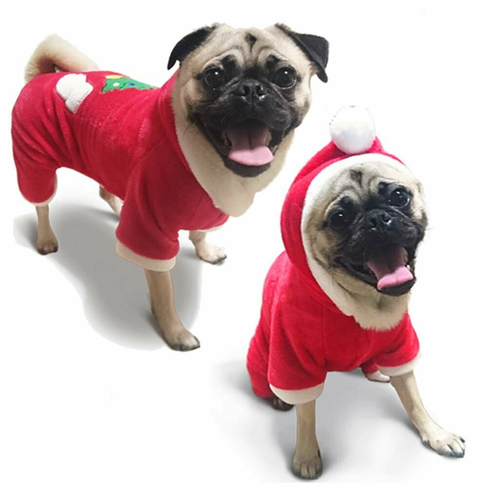 Božično oblačilo za psa - lepo oblikovana kapuca