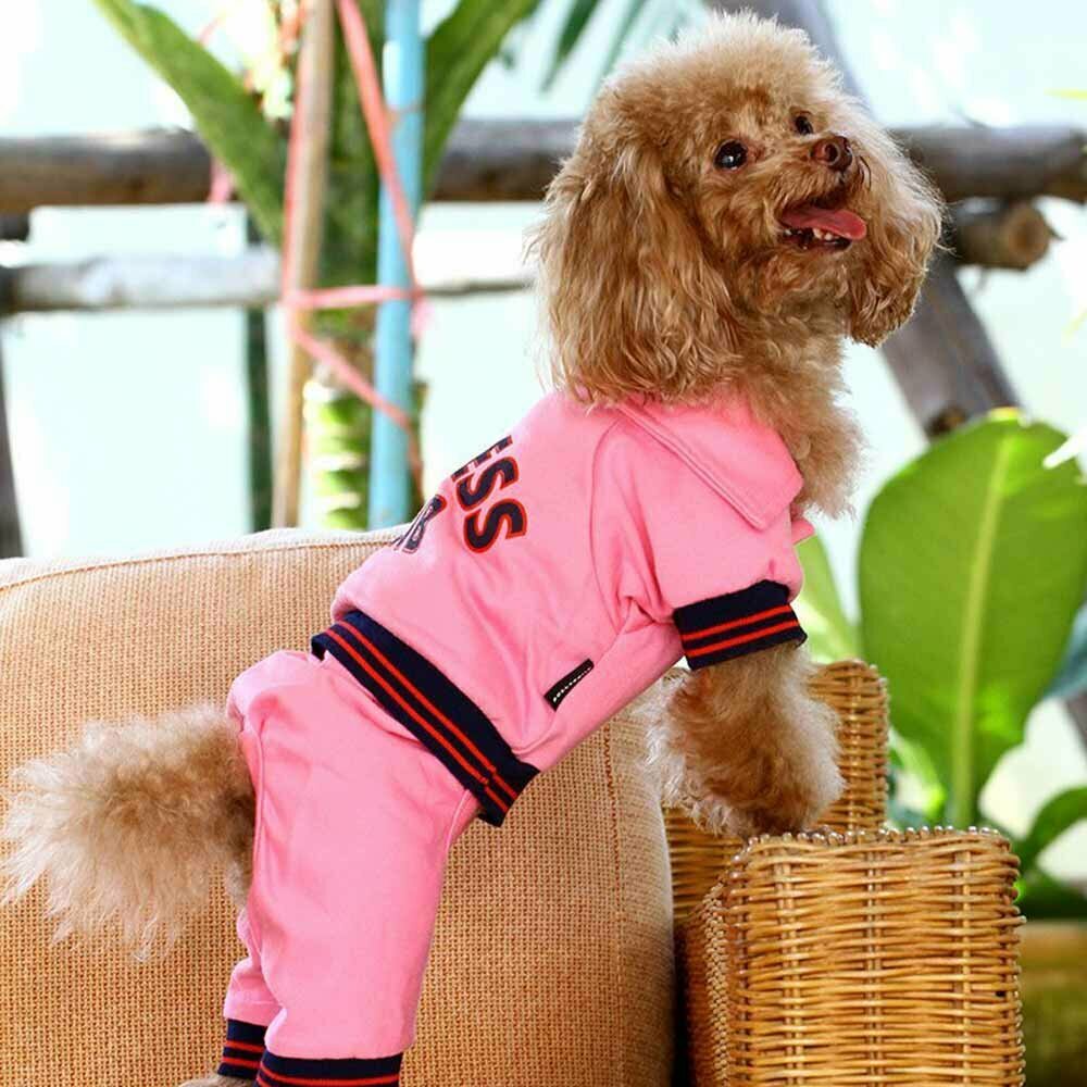 Športno oblačilo  za psa - Komplet "Fitness Club" 