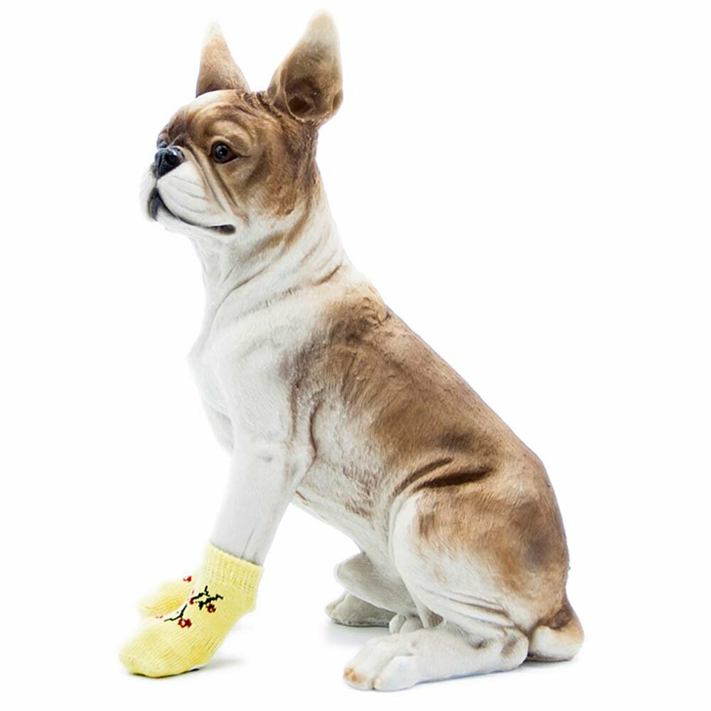 Zaščitne nogavice za psa