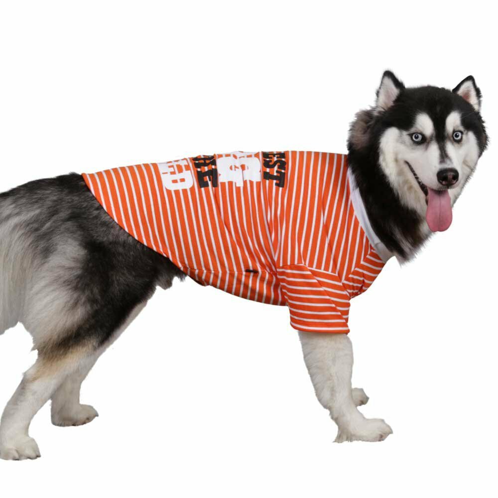 DoggyDolly Majice za pse Coolest Dog oranž