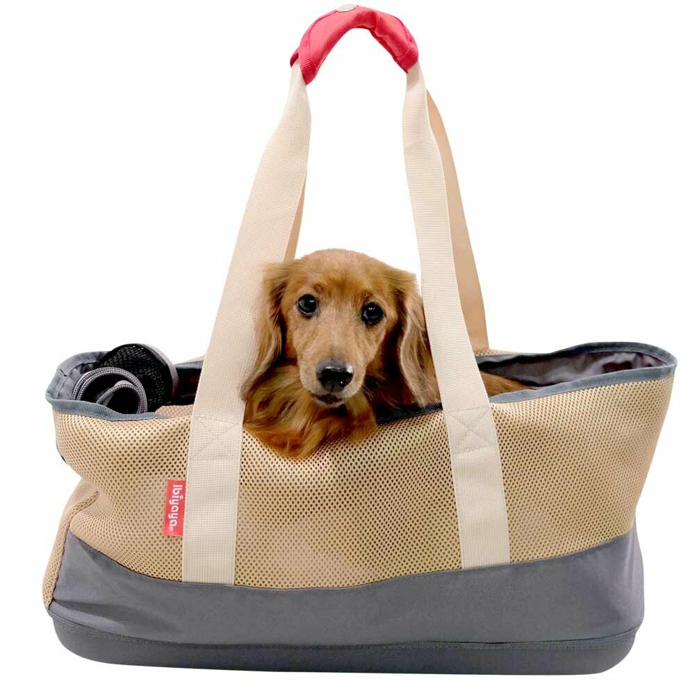 Oblazinjen ročaj za lažje nošenje - torba za pse