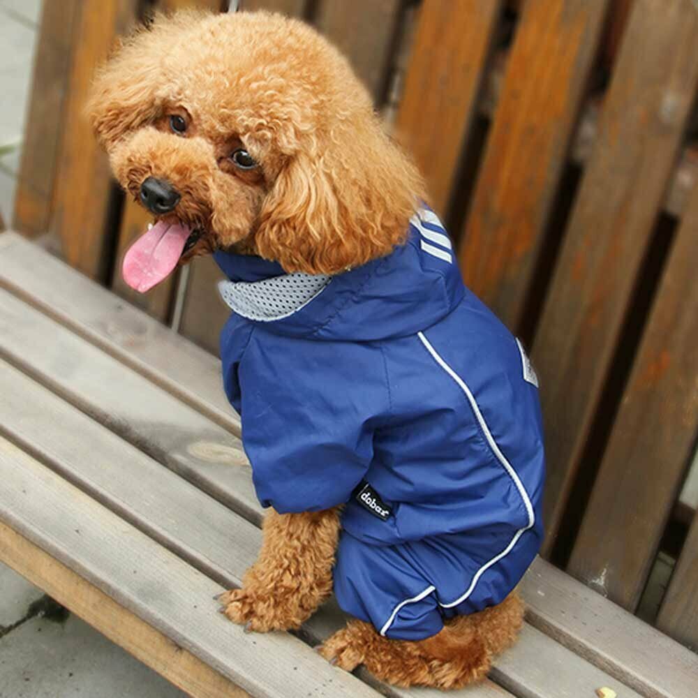 Temno modri dežni plašč za psa - moderna oblačila za pse