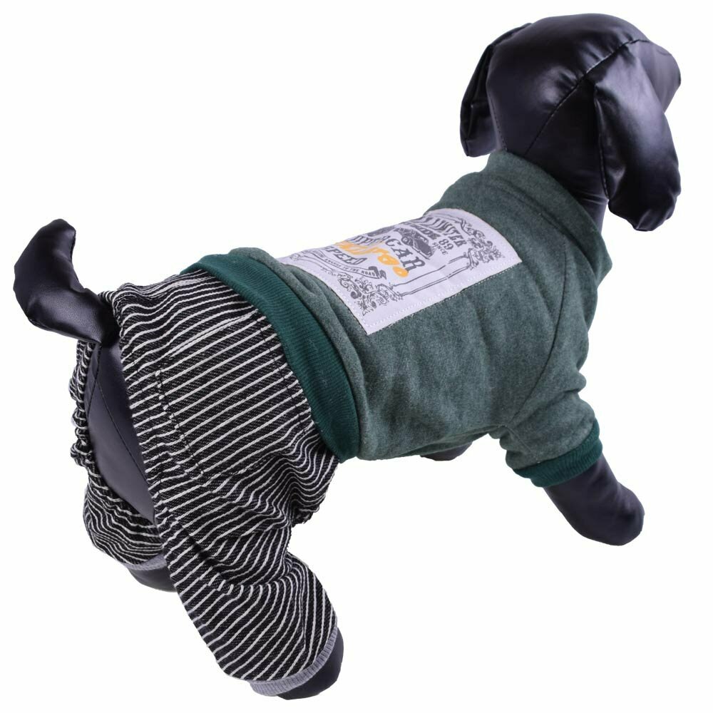 GogiPet pulover s hlačami za psa "Super Car" - zelena barva