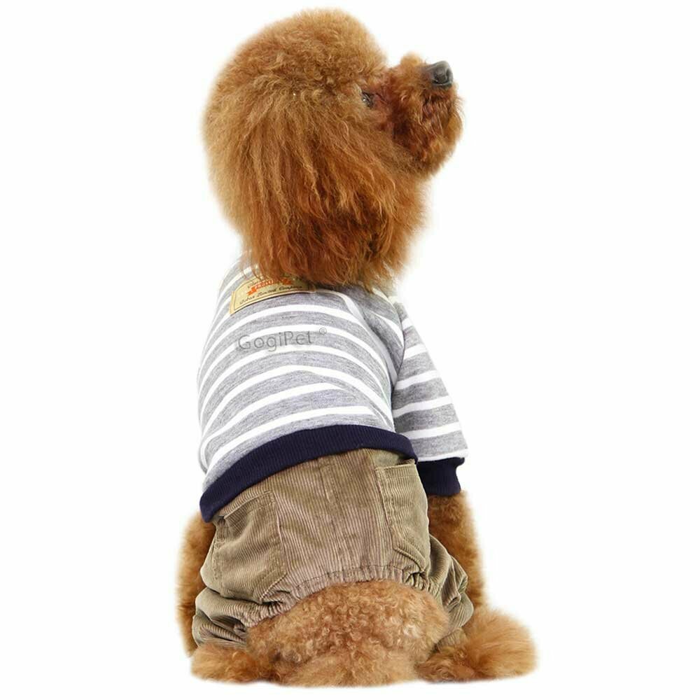Črtast pulover z žametnimi hlačami za psa