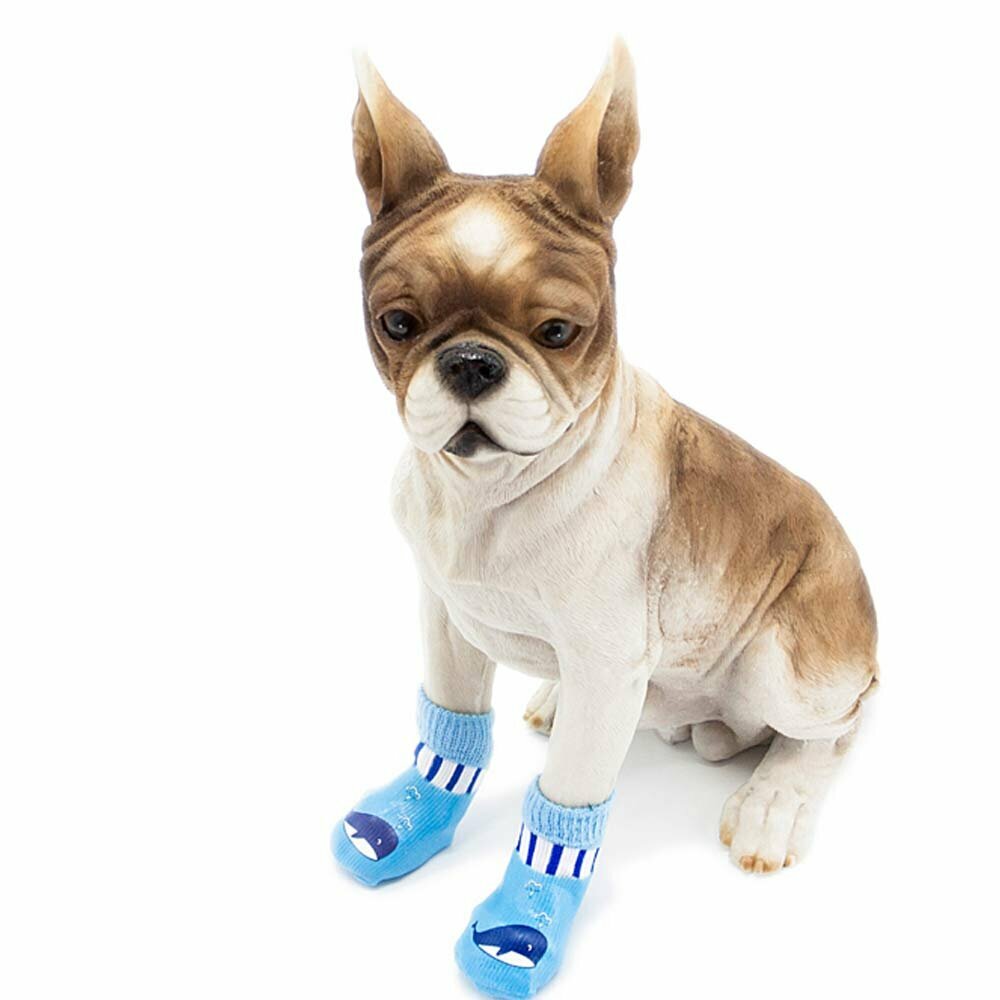 GogiPet čevlji za pse - modra barva