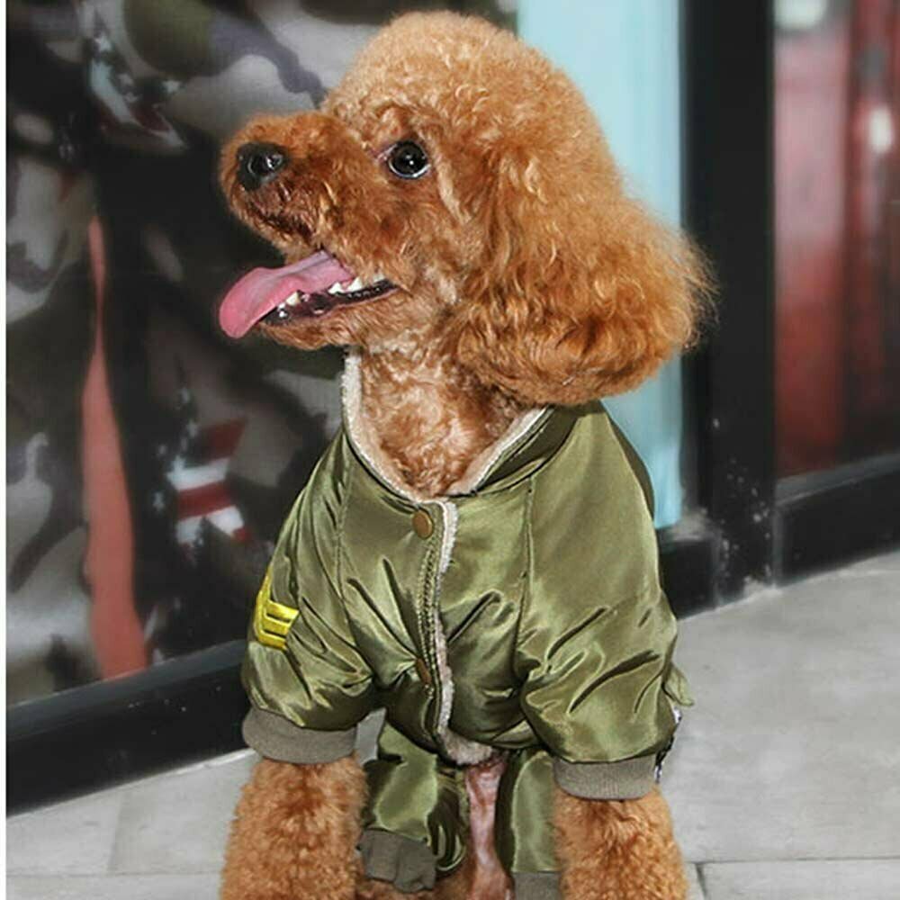 Zimski komplet za psa "Air Force" - zelena barva, mehak ovratnik