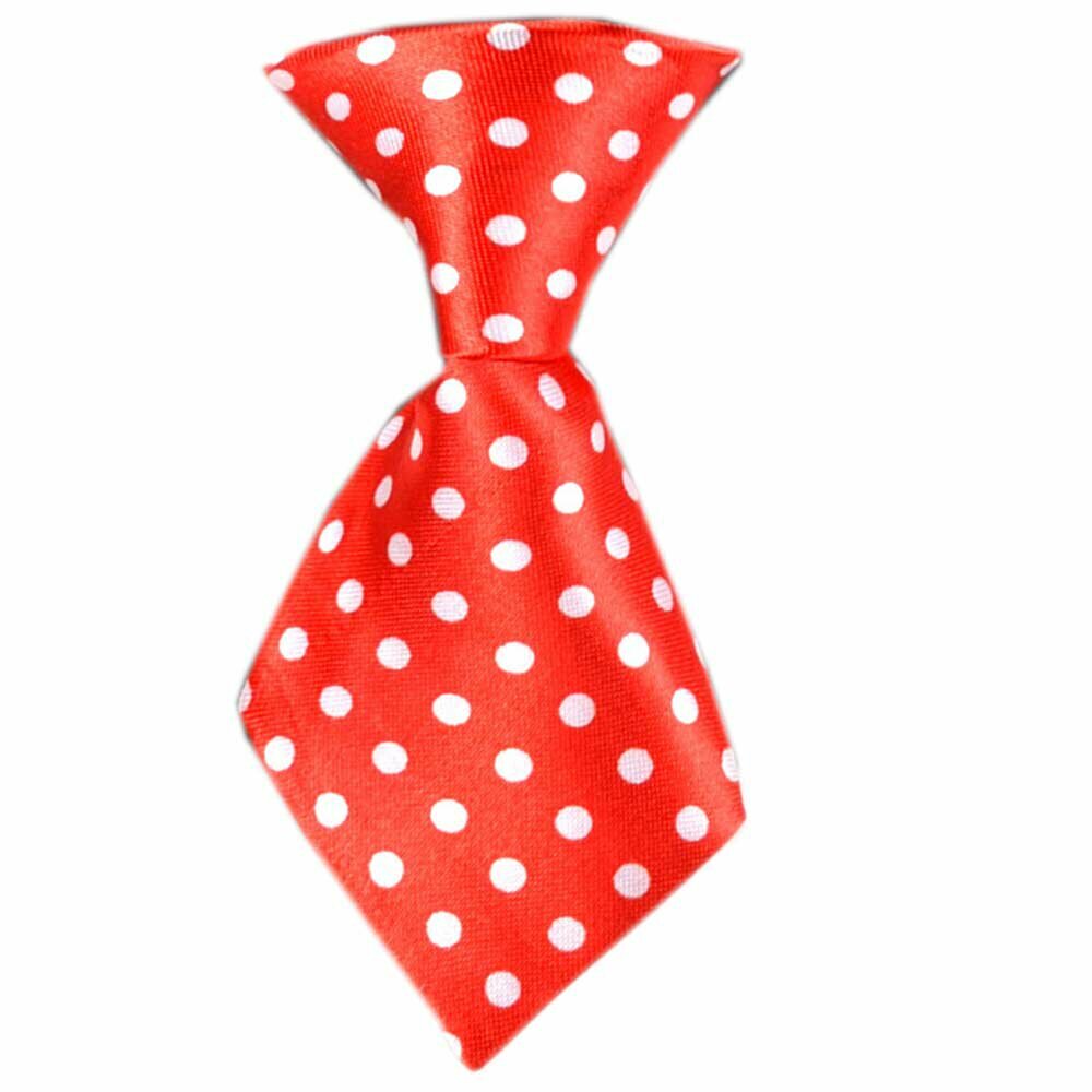 GogiPet kravate za pse "Leo" - rdeča barva z belimi pikami