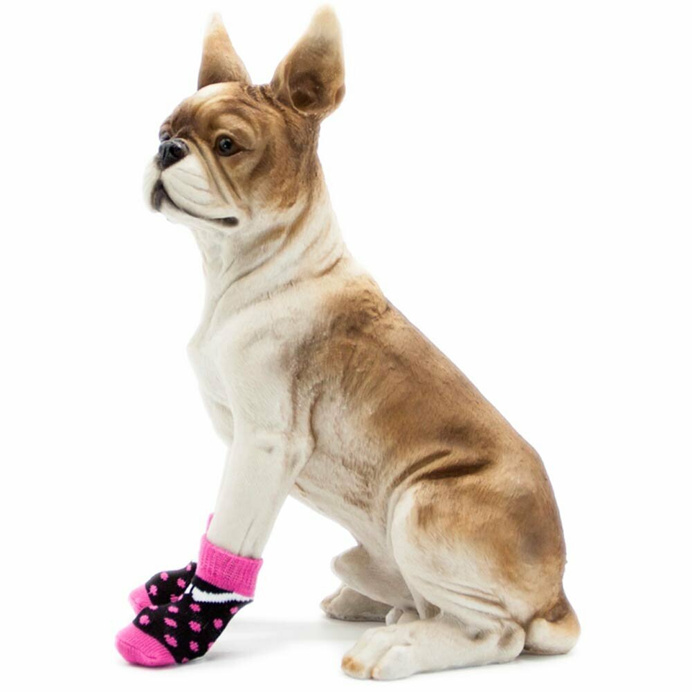 Kakovostne nogavice za pse za zaščito tačk in zaščito tal pred praskami
