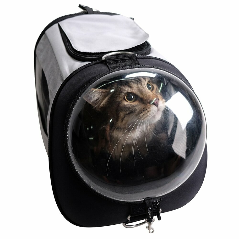 Torba za mačke in torba za pse na potovanju z letali