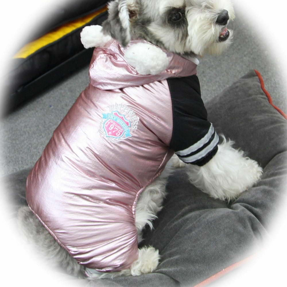 Zimsko oblačilo za psa "Gold Star" z vezeno aplikacijo