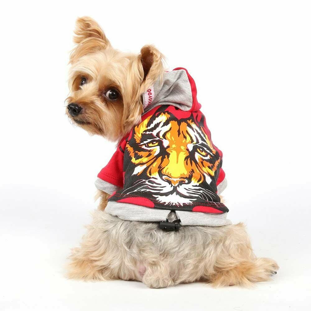 Pulover s kapuco in poslikavo "Tiger"- DoggyDolly pasje oblačilo  