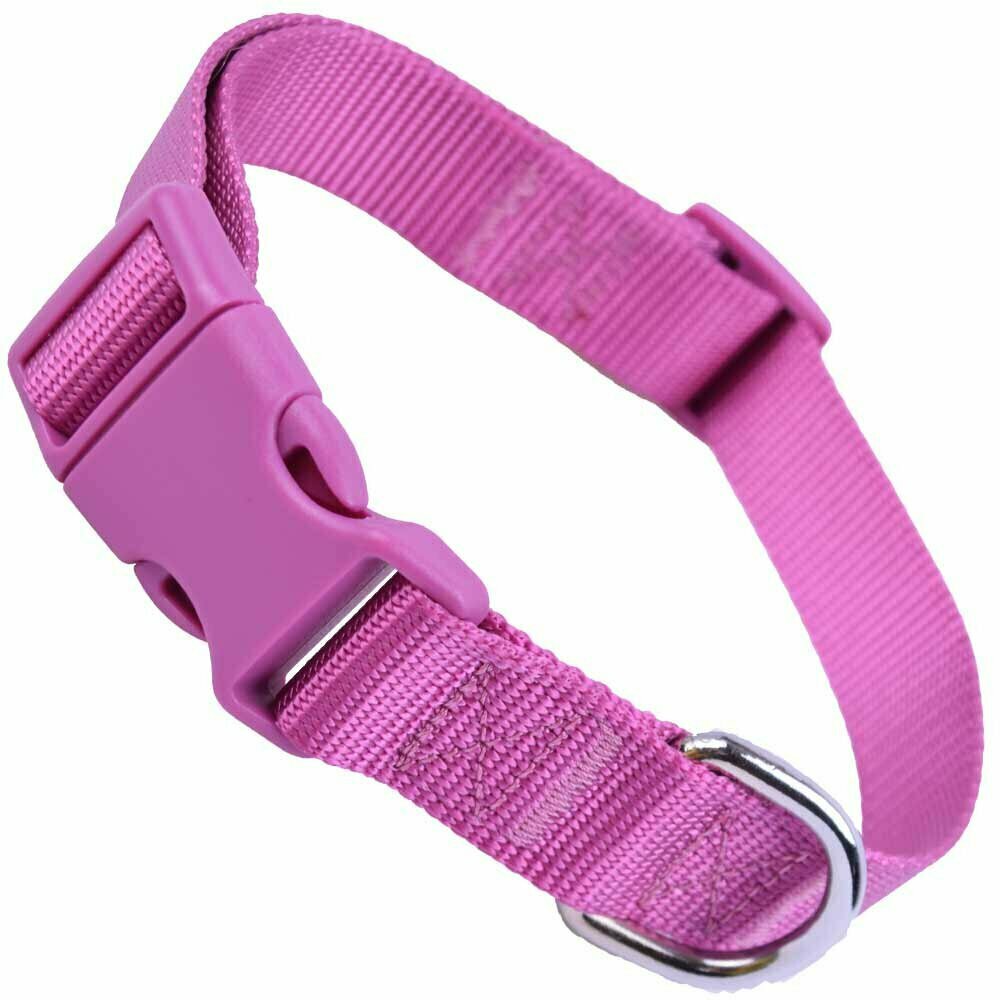 GogiPet® ovratnica za psa - vijolična barva 