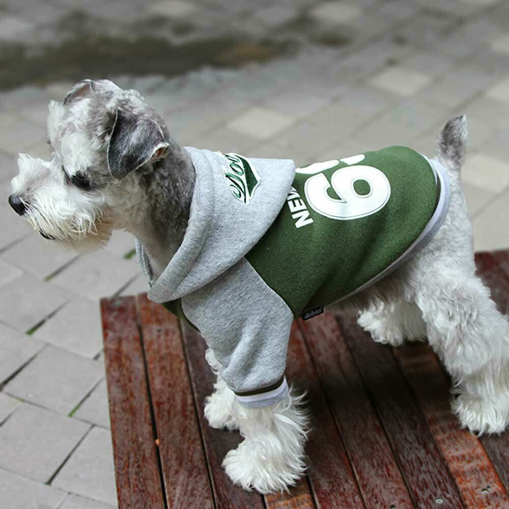 GogiPet topla jakna za psa "New York 69" - zelena barva, velika aplikacija