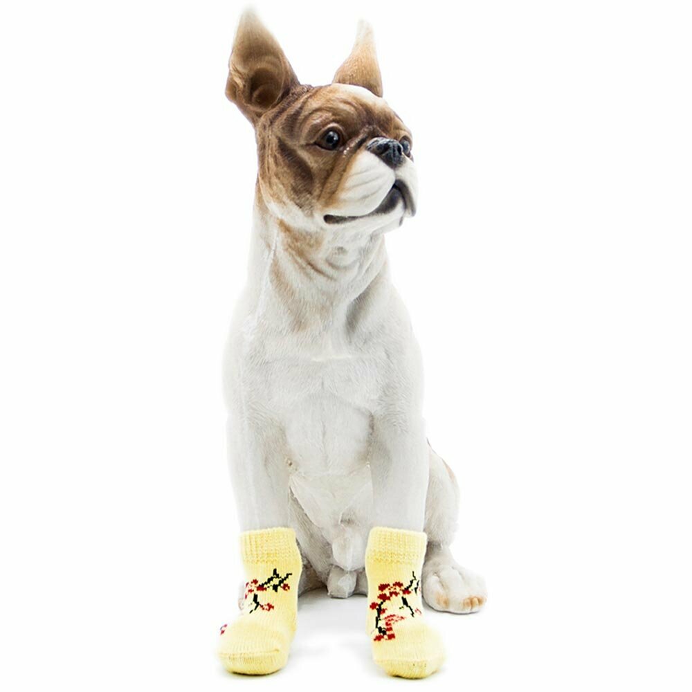 Kakovostne nogavice za psa - Bonsai