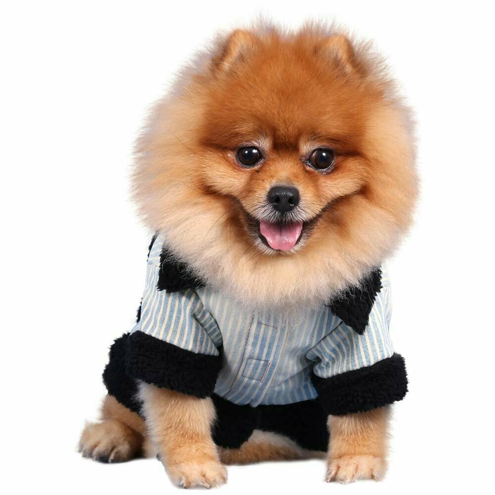 Zimska Denim jeans jakna za pse - Oblačila za pse