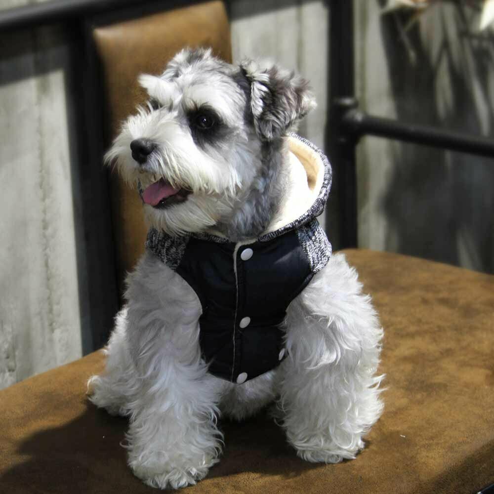 GogiPet zimski plašč za psa "Belo" - črna barva, udobno oblačilo za pse