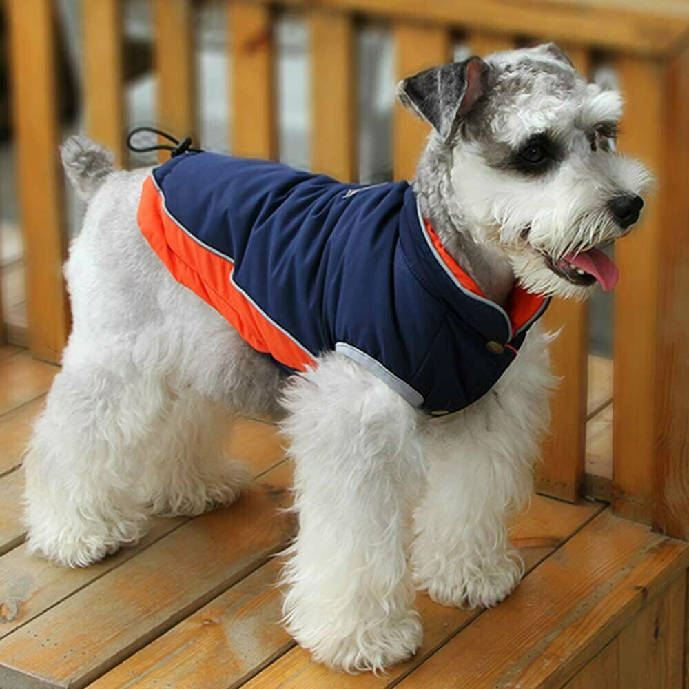 Klasični zimski plašč za psa velike rasti - modro oranžna barva