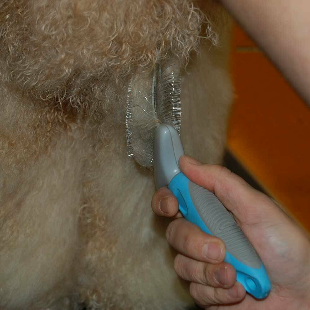 GogiPet Multibrush krtača za majhne pse - krtačenje zavozlane dlake