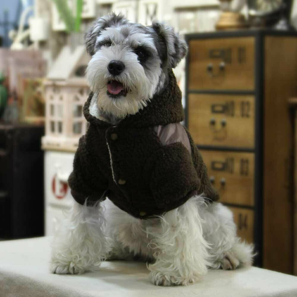 GogiPet zimska jakna za psa "Dobaz" - rjava barva, zapenjanje s kovicami