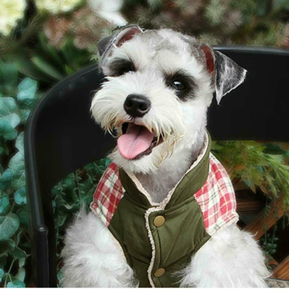 Topla, zimska jakna za psa "Bobi" - zelena barva
