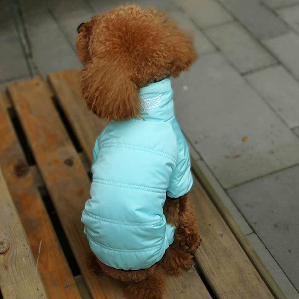 Zimski kombinezon za psa "Polar" - svetlo modra barva, vezena aplikacija