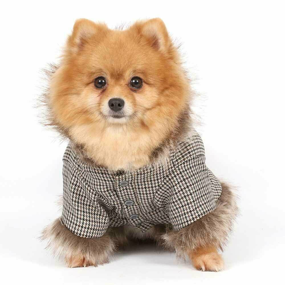 Shinori rjava jakna za pse DoggyDolly