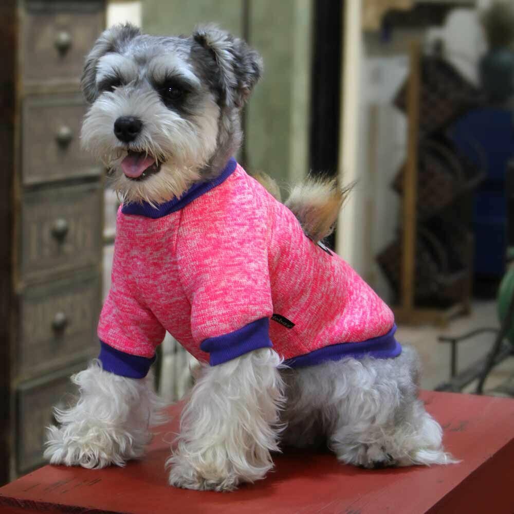 GogiPet pleten pulover za psa "Pretty eyes" - pink barva, udobno nošenje