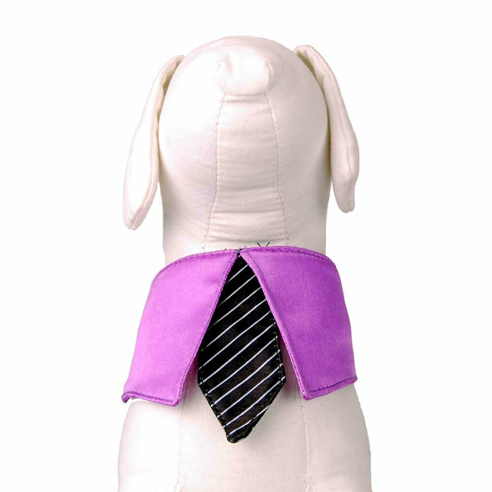Ovratnice s kravato violet - black M