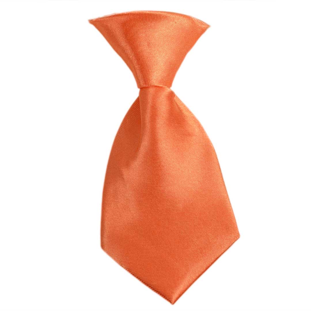 Svilena, oranžna kravata za pse "Lavendel"