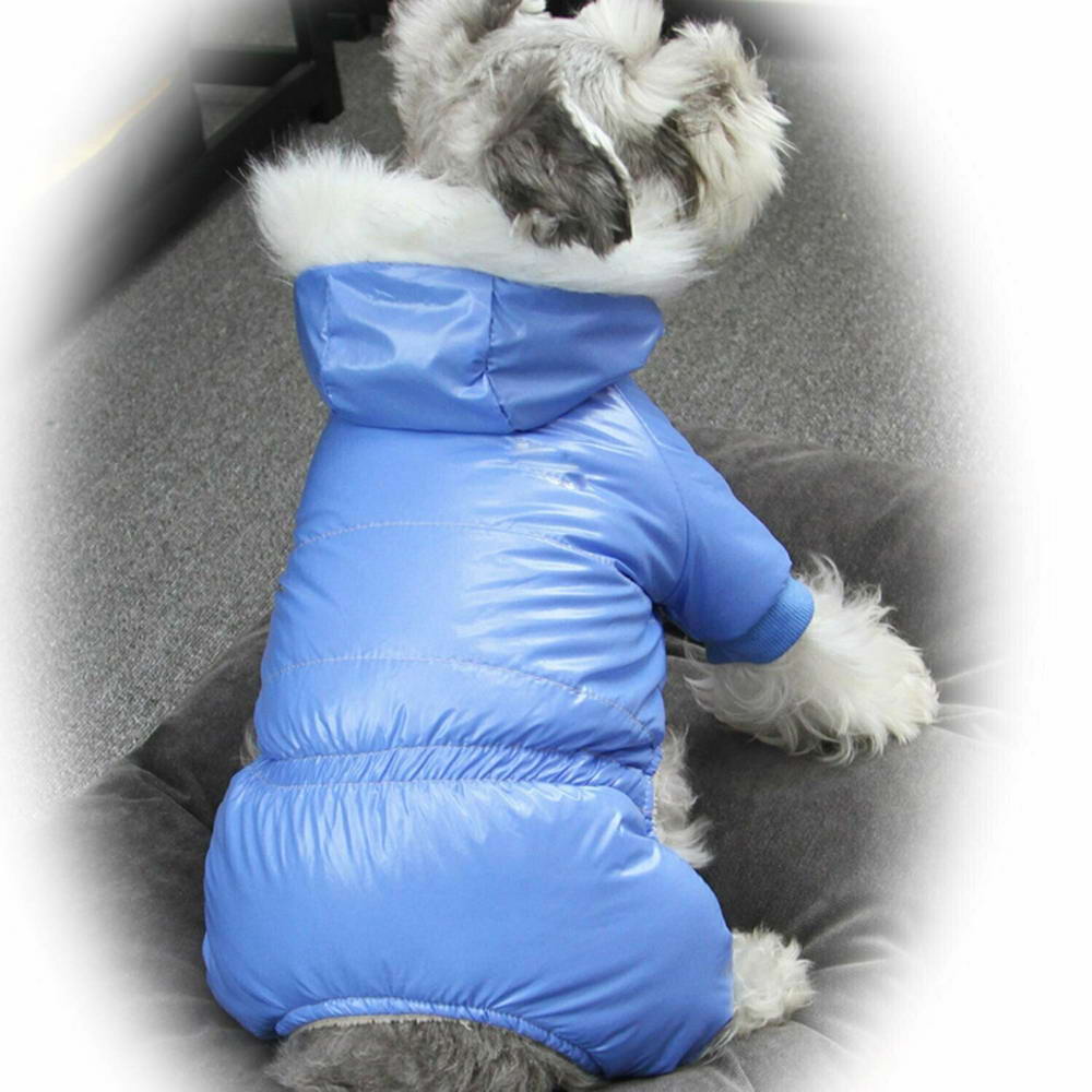 Zimski plašč za pse "Francesco" - svetlo modra barva, kosmatena kapuca