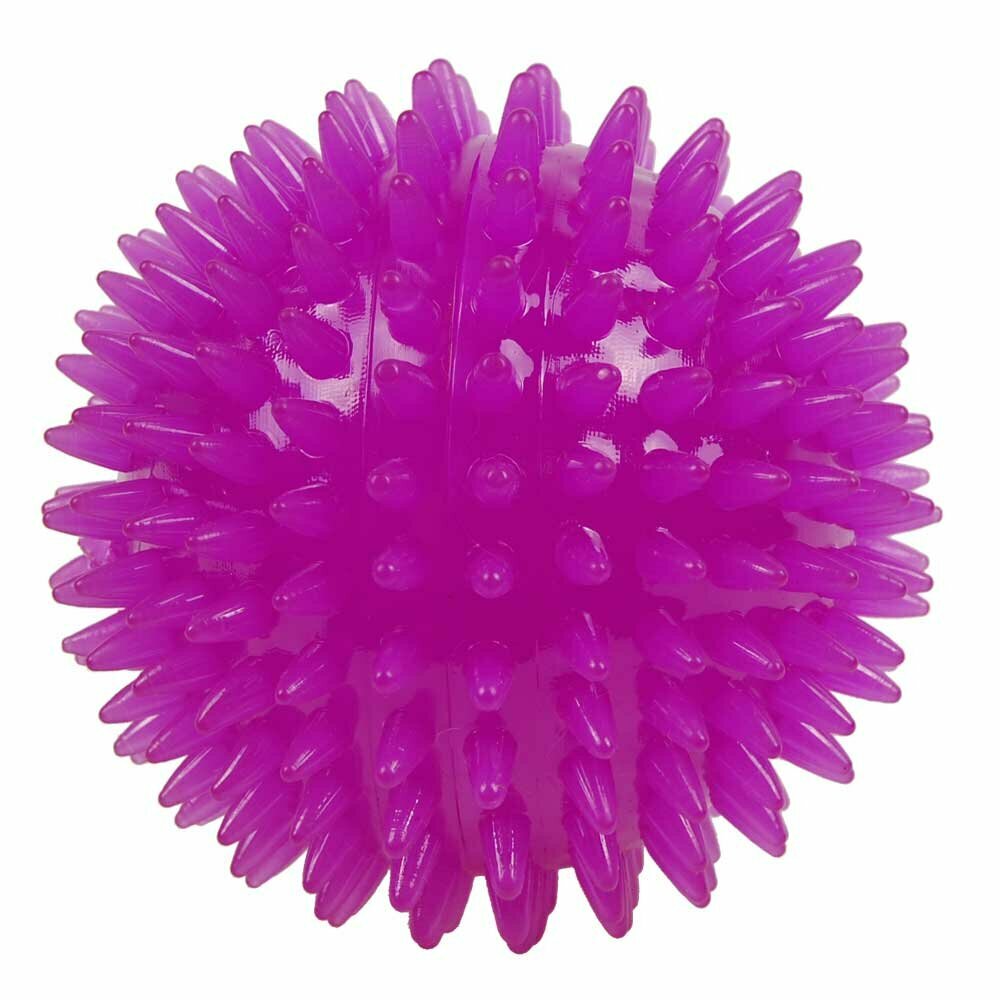 Svetleča žoga za psa s piščalko - vijolična barva, premer 10 cm 