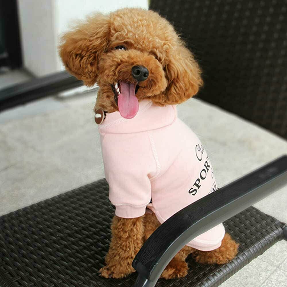 Pulover s kapuco za psa "Classic" - rožnata barva, udobno nošenje
