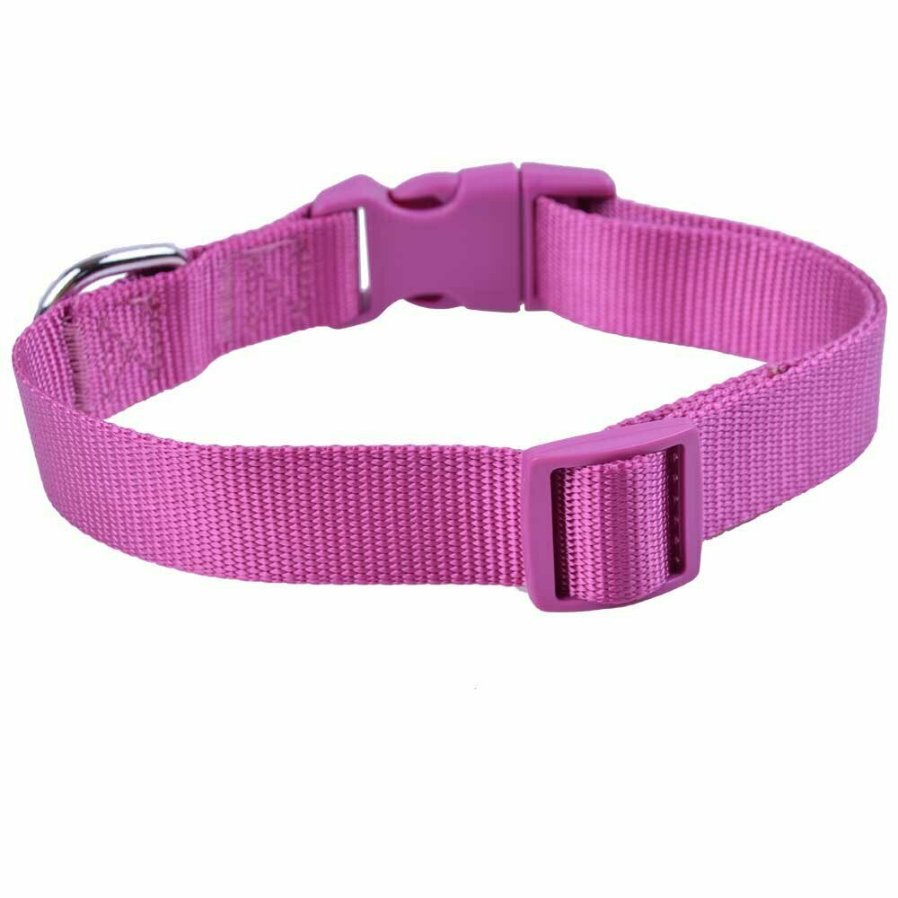 GogiPet® ovratnica za psa - vijolična barva , klasični model