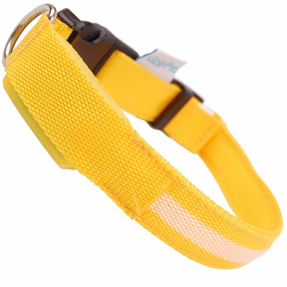 GogiPet® svetleča ovratnica za pse "Sliim Line" - rumena barva, velikost L