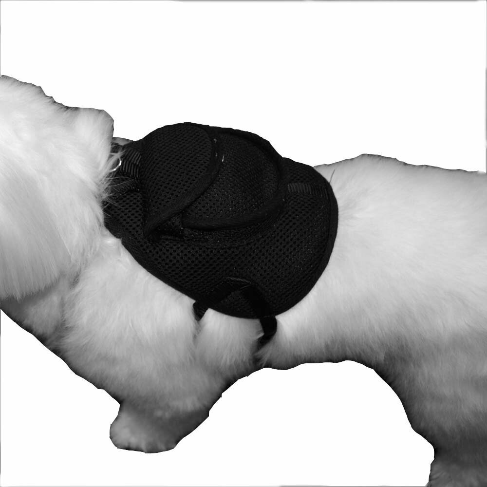 GogiPet črna oprsnica z nahrbtnikom za psa - modna oblačila za pse