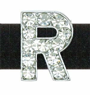 Črka R s kristali, s katero lahko oblikujete ime na ovratnici vašega psa ali mačke
