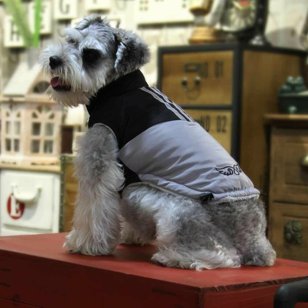 GogiPet zimska jakna za psa "Amor" - črna barva, vezena aplikacija