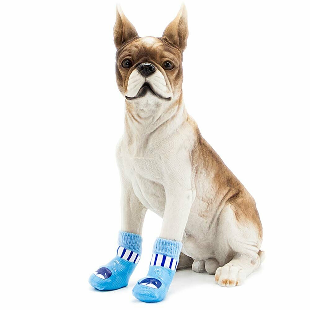 Atraktivni čevlji za pse - modra barva