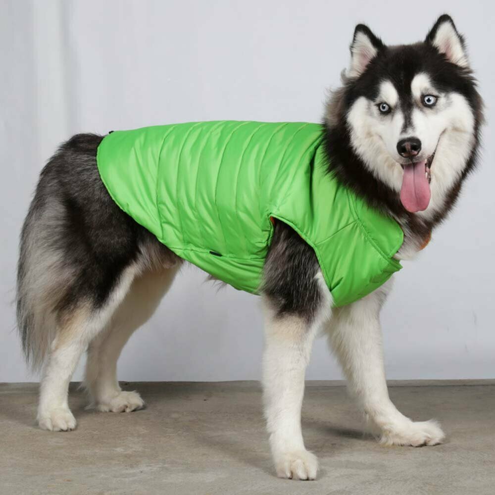 Tople jakne za pse velike rasti - sv. zelena - Big Dog DoggyDolly