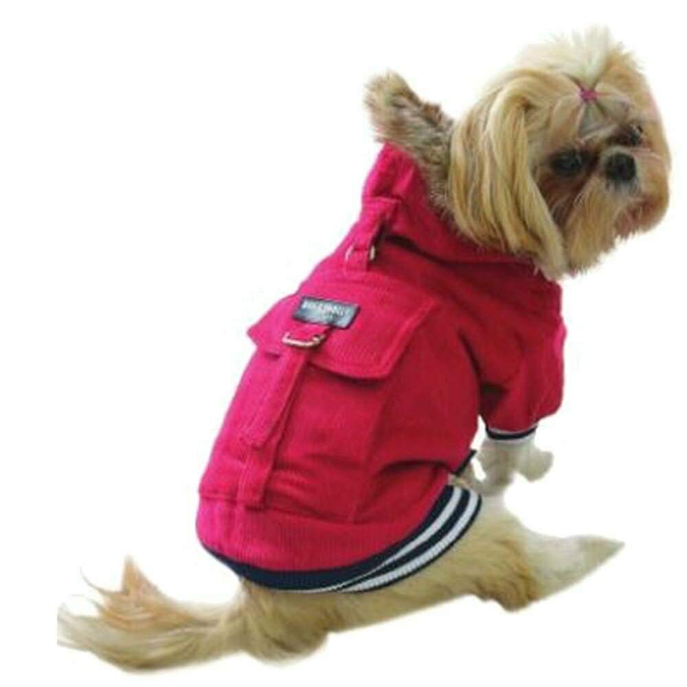Žametna jakna za psa