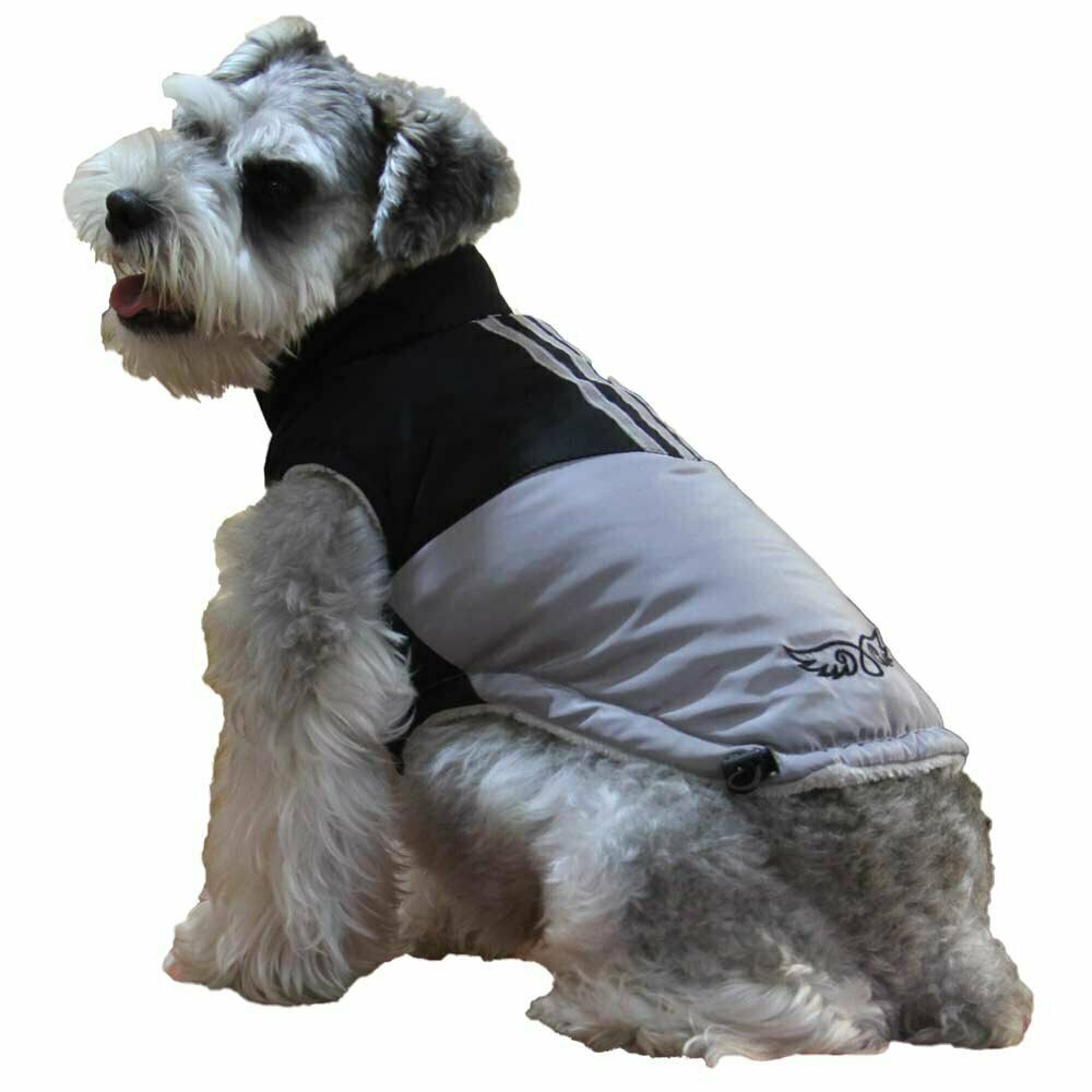 GogiPet zimska jakna za psa "Amor" - črna barva