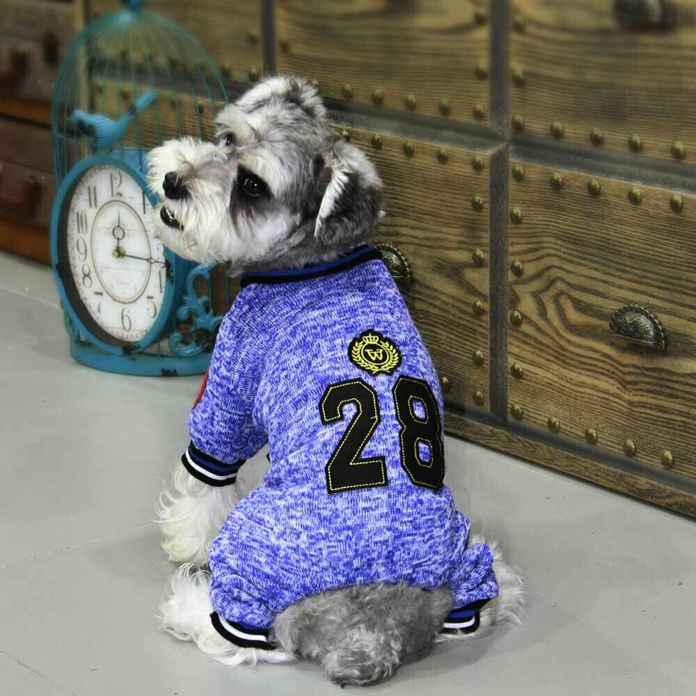 GogiPet športni komplet za psa "28" - modra barva, našitek