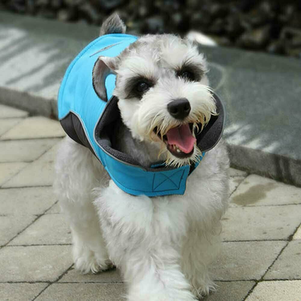 Zimski plašč za psa velike rasti - svetlo modra barva, hitro oblačenje