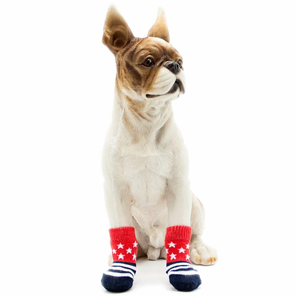 Rdeče nogavice za psa "Zvezda" - kolekcija GogiPet