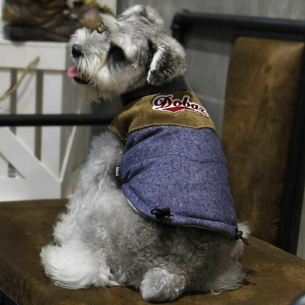 GogiPet topla jakna za pse "Celine" - modra barva, udobno nošenje