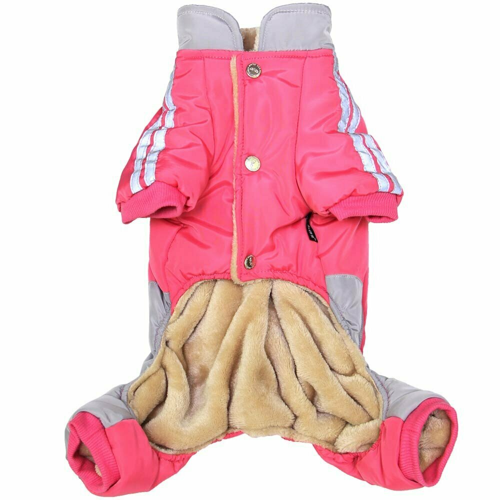 Zimski kombinezon za pse "Karin" - rožnata barva, zapenjanje s kovicami