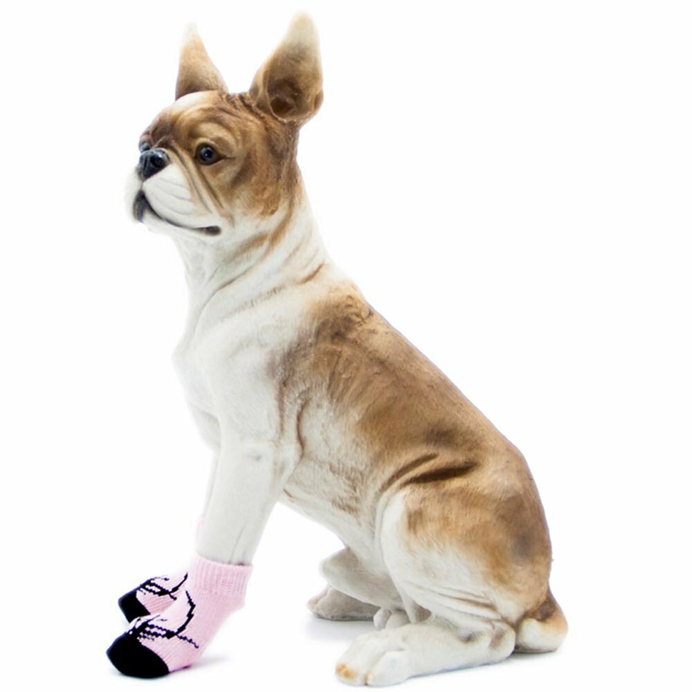 Kakovostne nogavice za psa