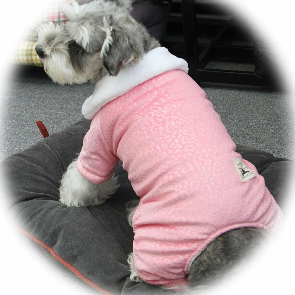 Zimski komplet za pse "Sofia" - rožnata barva za pasje dame
